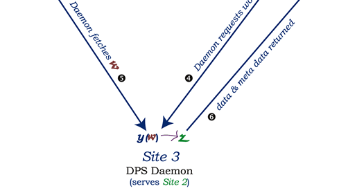 DPS5